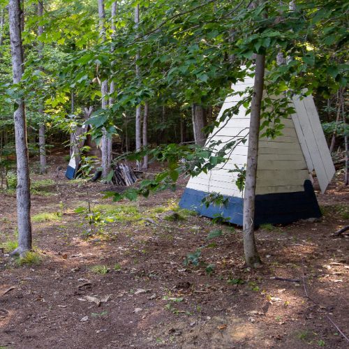White and blue triangular structures in a wooded area, trees in the background.