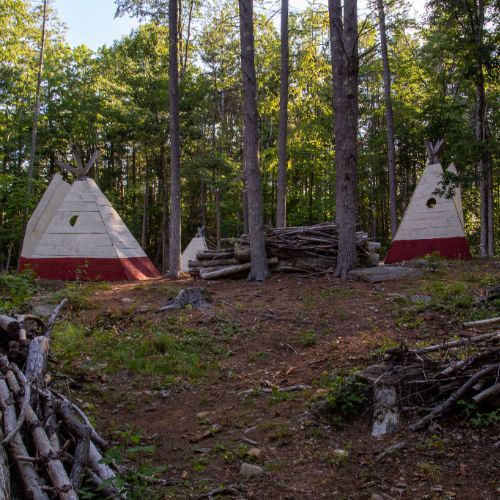 Three white and red teepees nestled in a sunlit forest clearing, surrounded by trees and logs.