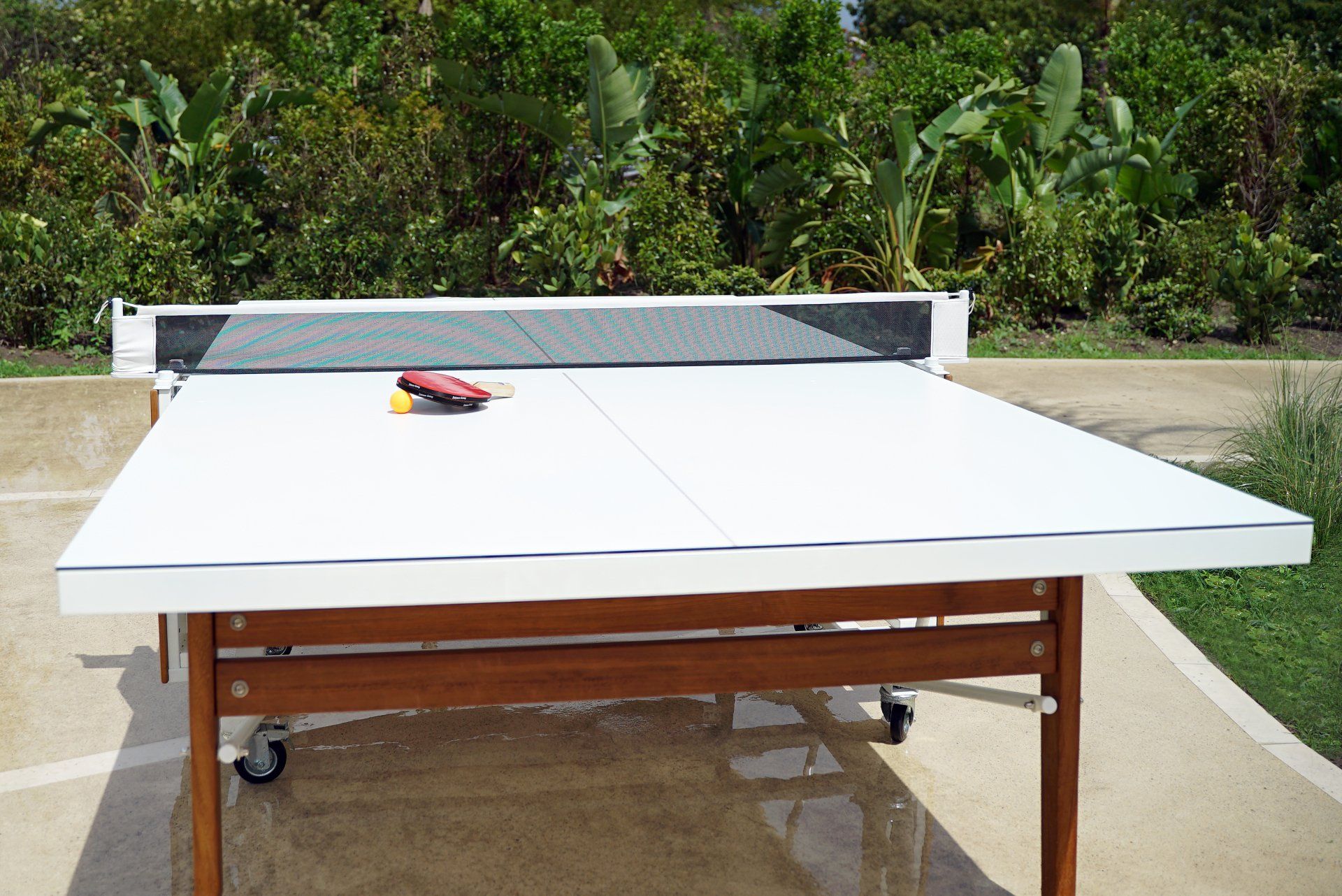 Ping Pong