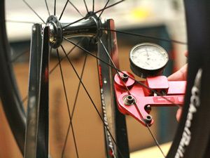 Wheels Coaching