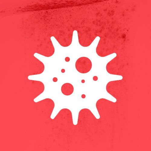 Fungus on the wall — Nashville, TN — State-Line Exterminating