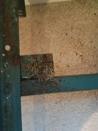 Bed bugs under sofa— Nashville, TN — State-Line Exterminating