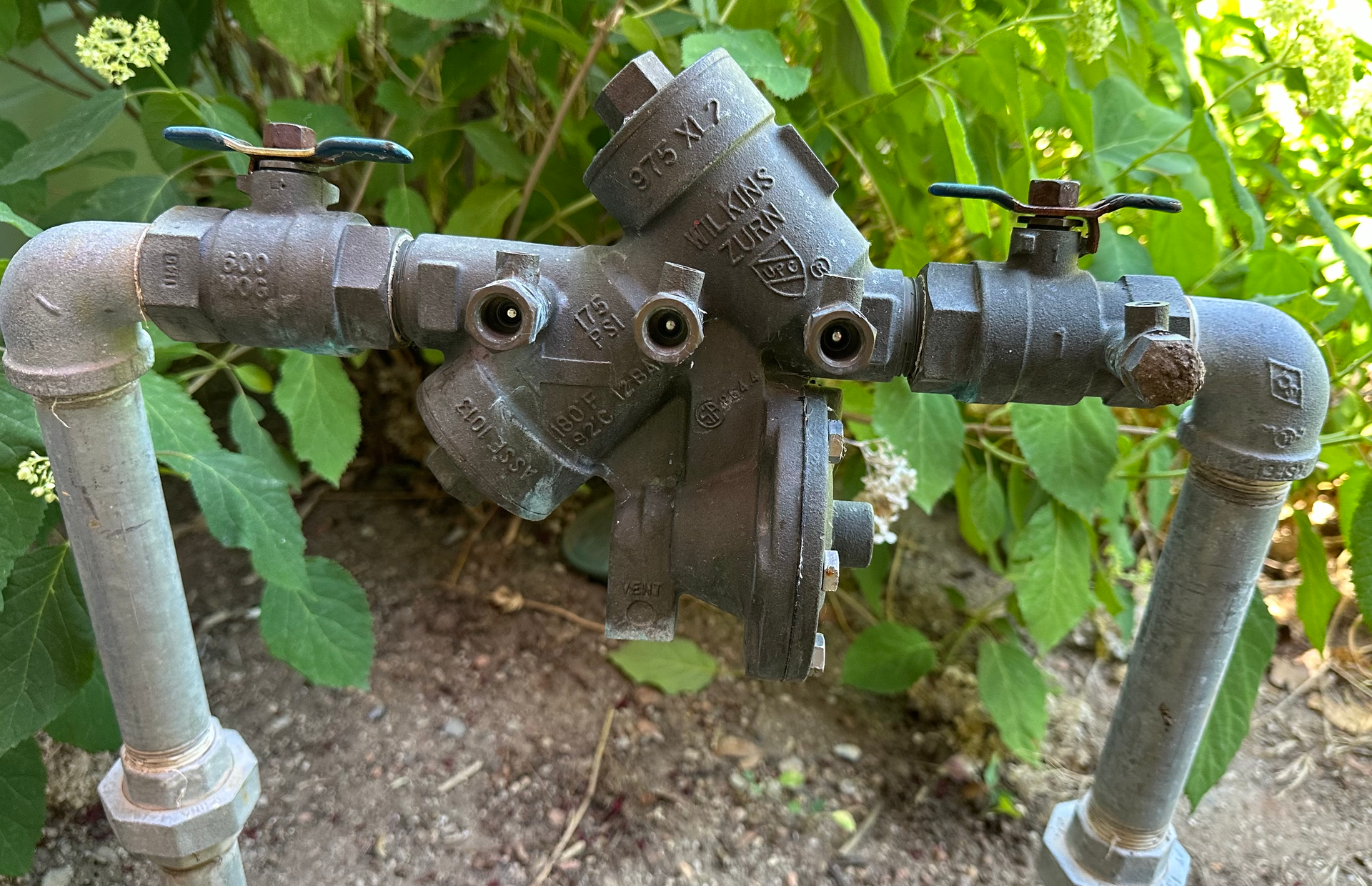 Backflow Preventer Device