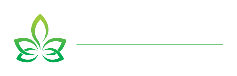 Stroiud therapists logo