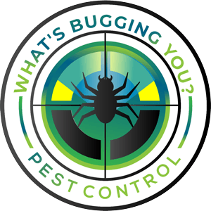 What's-Bugging-You-Logo
