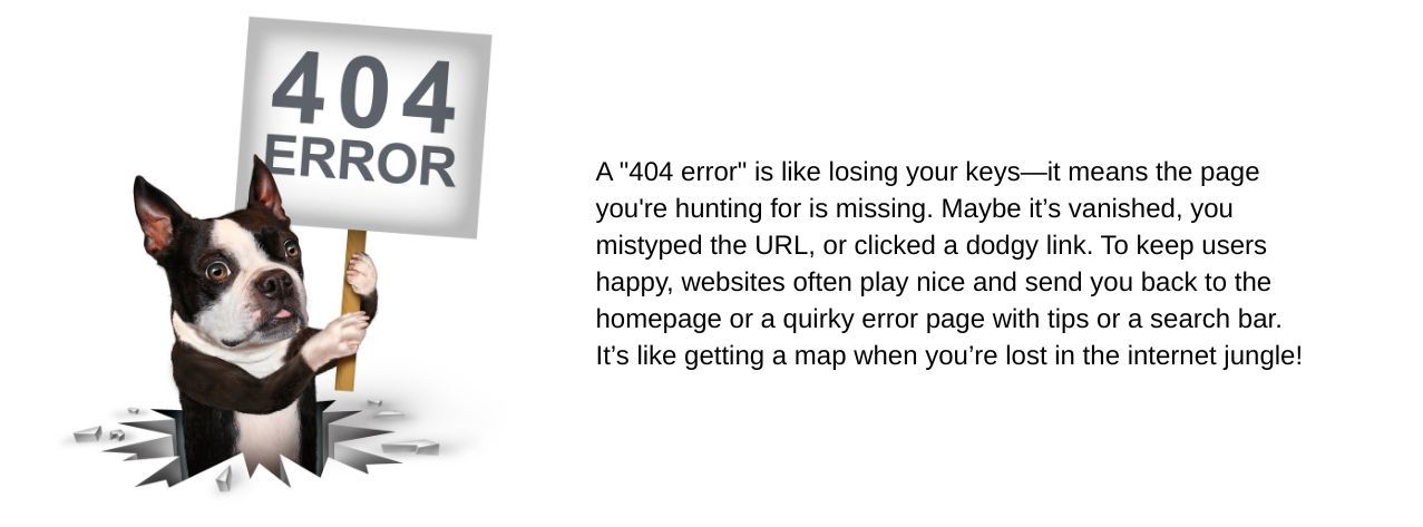 404 Error, Return Home