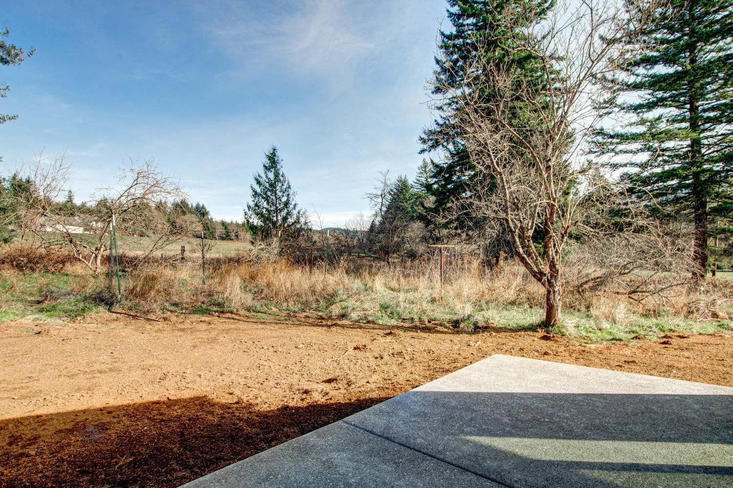 A concrete patio with a view of a field and trees.