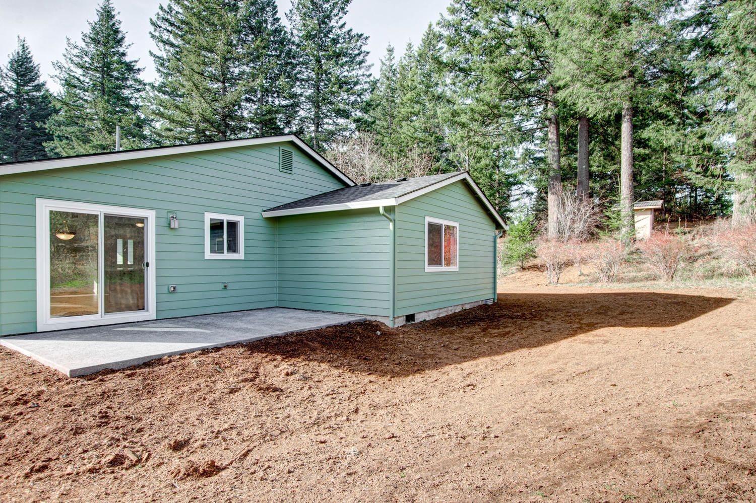 A green house with sliding glass doors is surrounded by trees