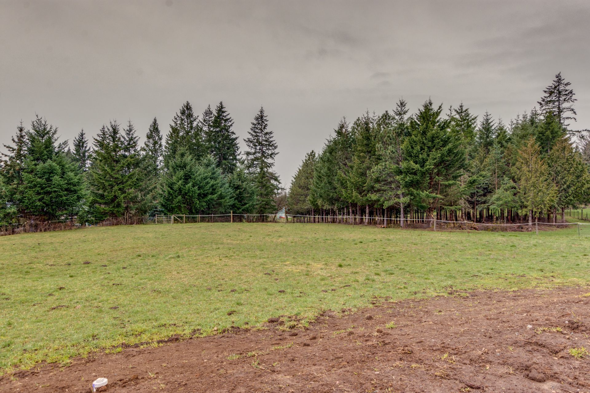 A field with trees in the background and a fence in the foreground