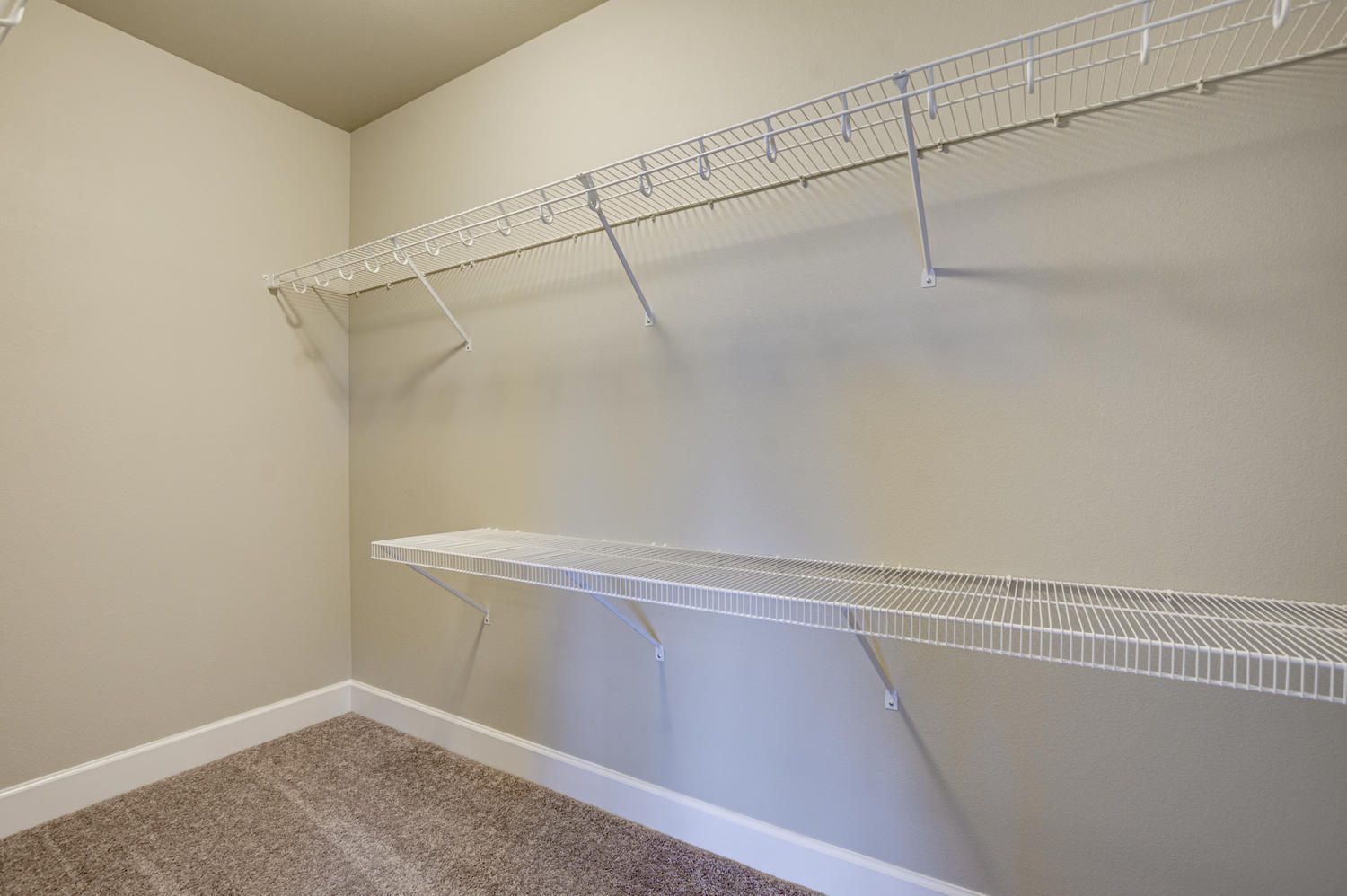 An empty walk in closet with shelves and a carpeted floor.