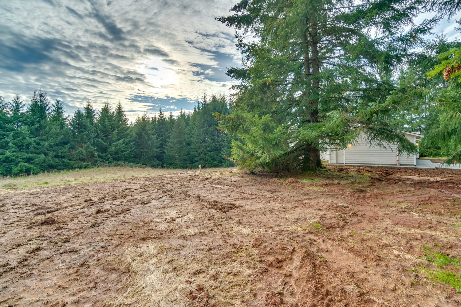 A dirt field with trees in the background and a house in the background.
