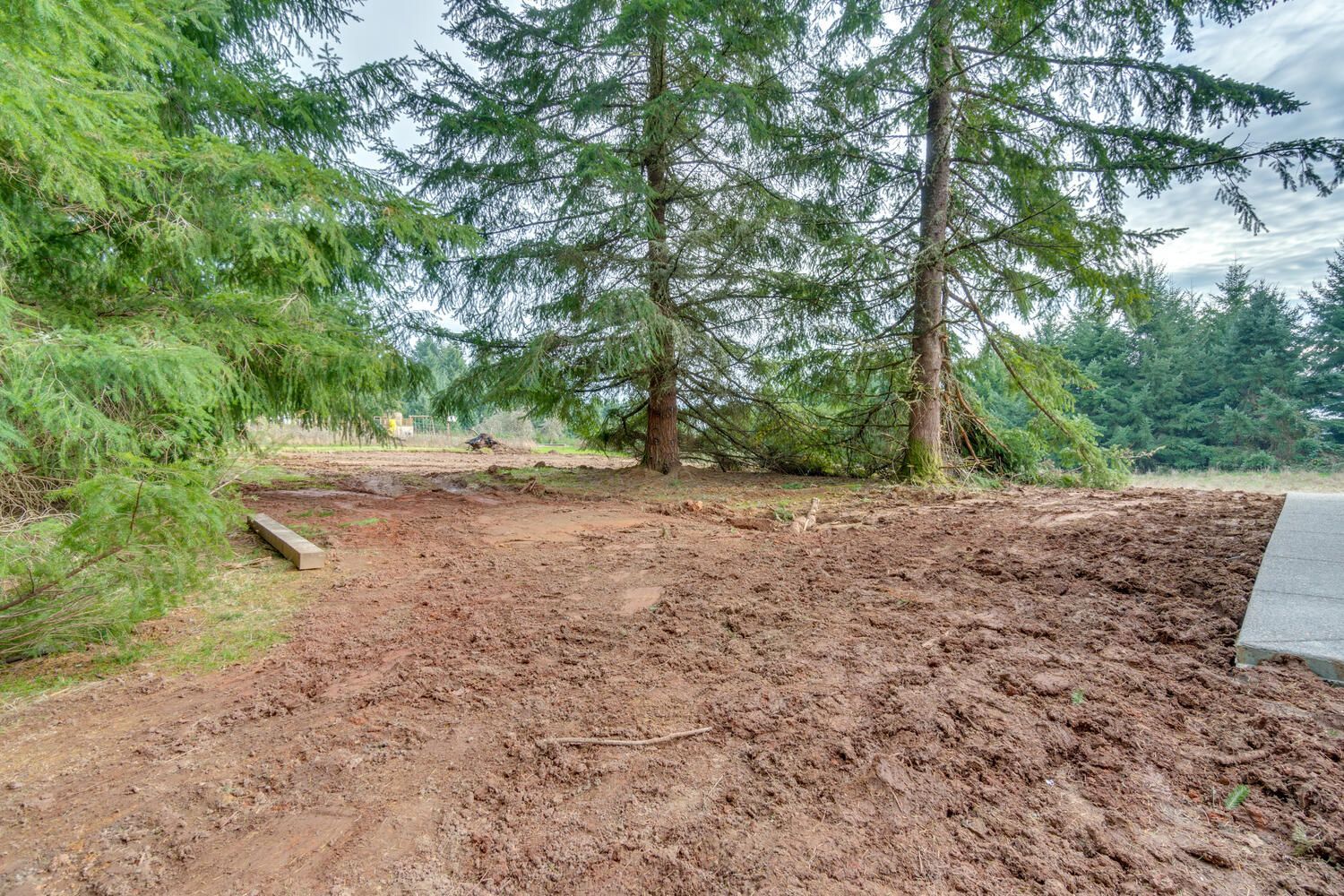 A dirt field with trees in the background and a concrete driveway in the foreground.