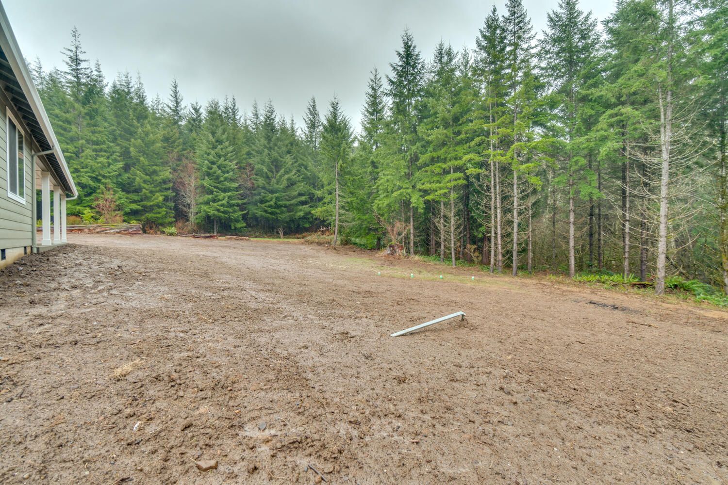 A dirt road leading to a house in the middle of a forest.