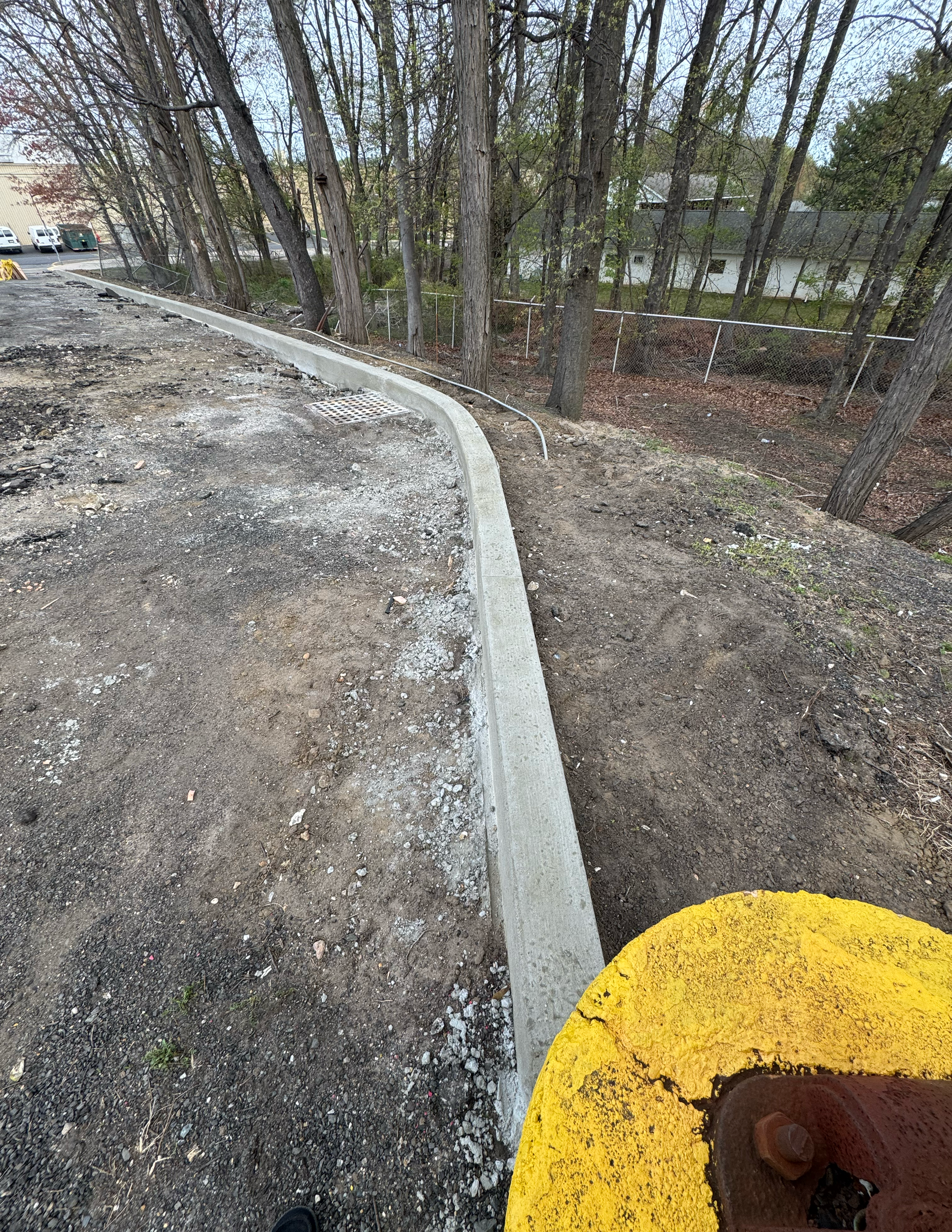 Freshly installed concrete curb and sidewalk bordering a wooded property during site development.