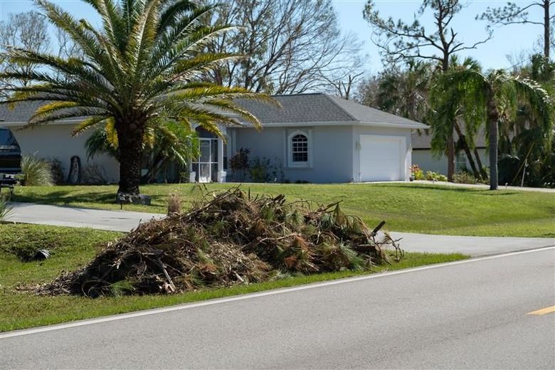 Pile of yard debris on a grassy lawn beside a road, in front of a light blue house with palm trees.