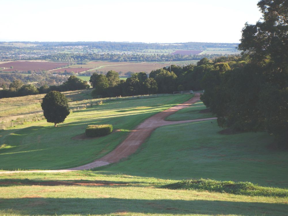 Hill Covered in Lush Vegetation — Grid Drilling in Bucca, QLD