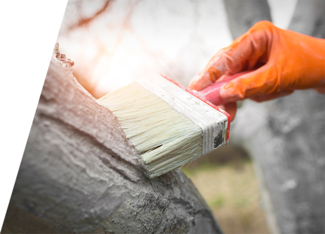 A certified arborist treating the branches of a tree with a brush