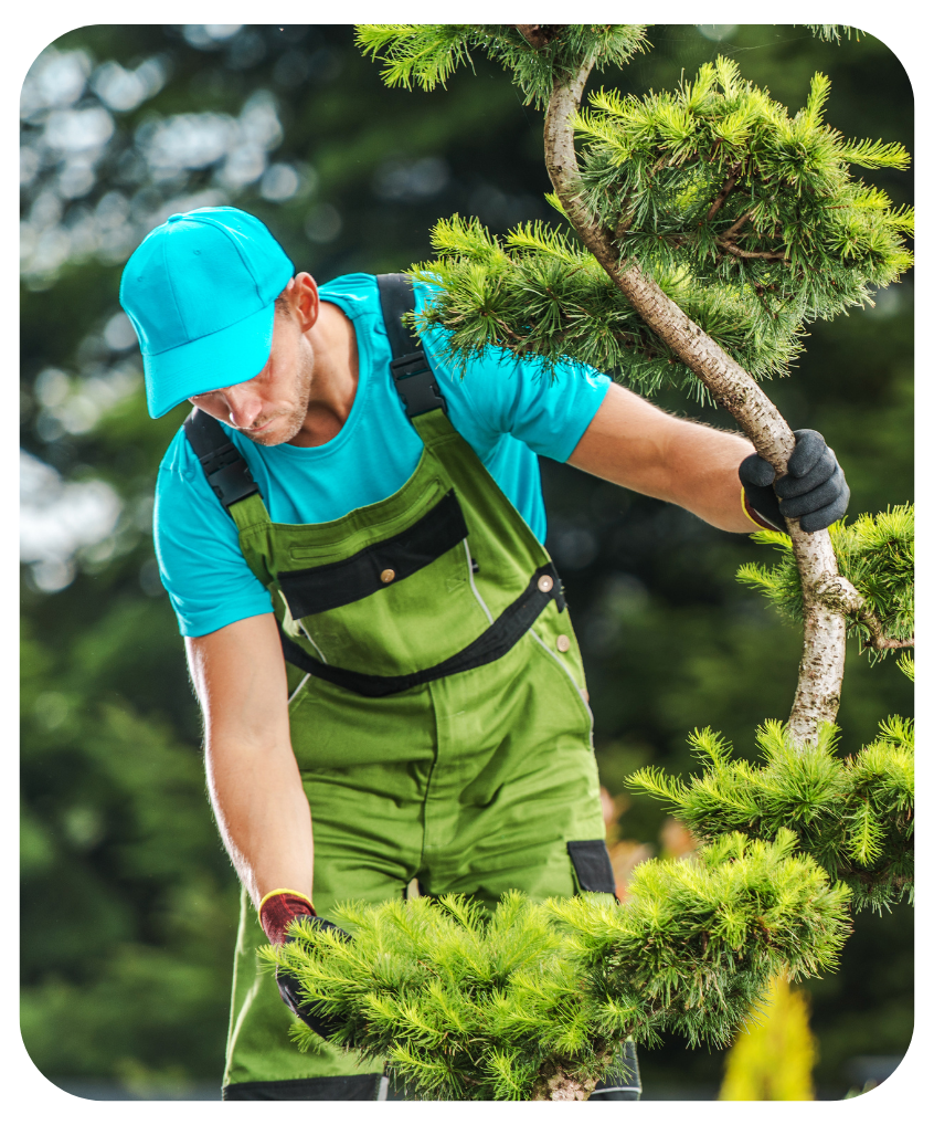 A man in green overalls and a blue hat is inspecting a tree.