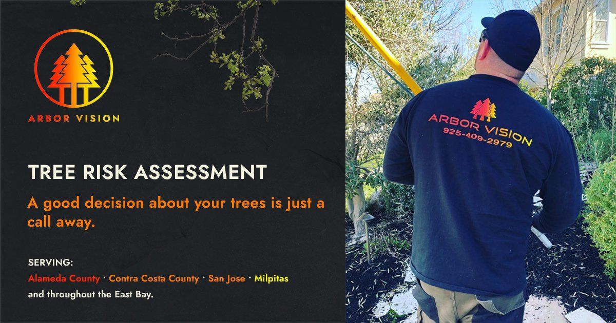 Tree Assessment Services • Arbor Vision, Inc. • San Ramon, CA