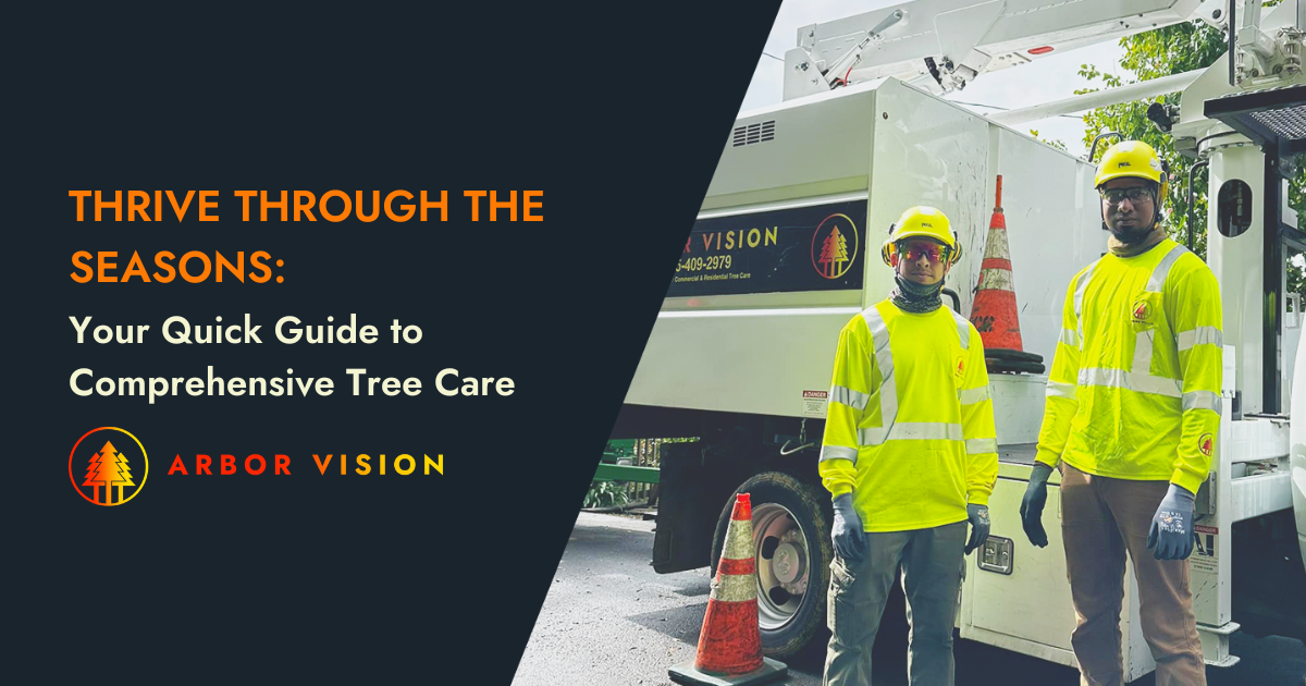Seasonal Tree Care Guide | Expert Tips by Arbor Vision Inc