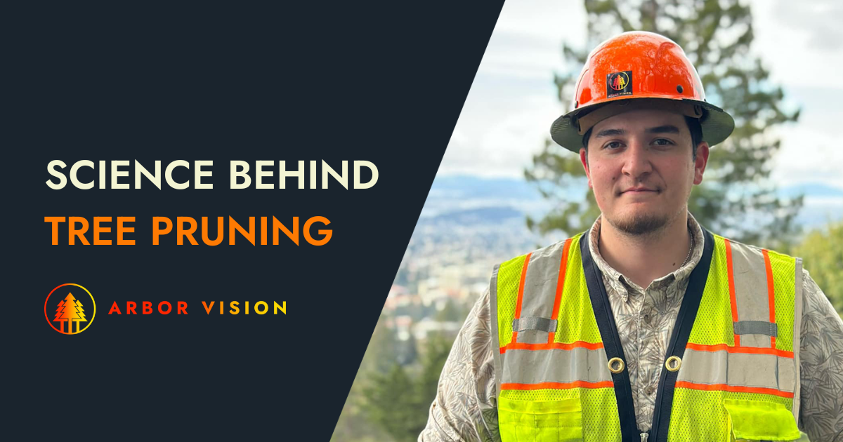 Arbor Vision member wearing an orange hard hat and reflective safety vest.