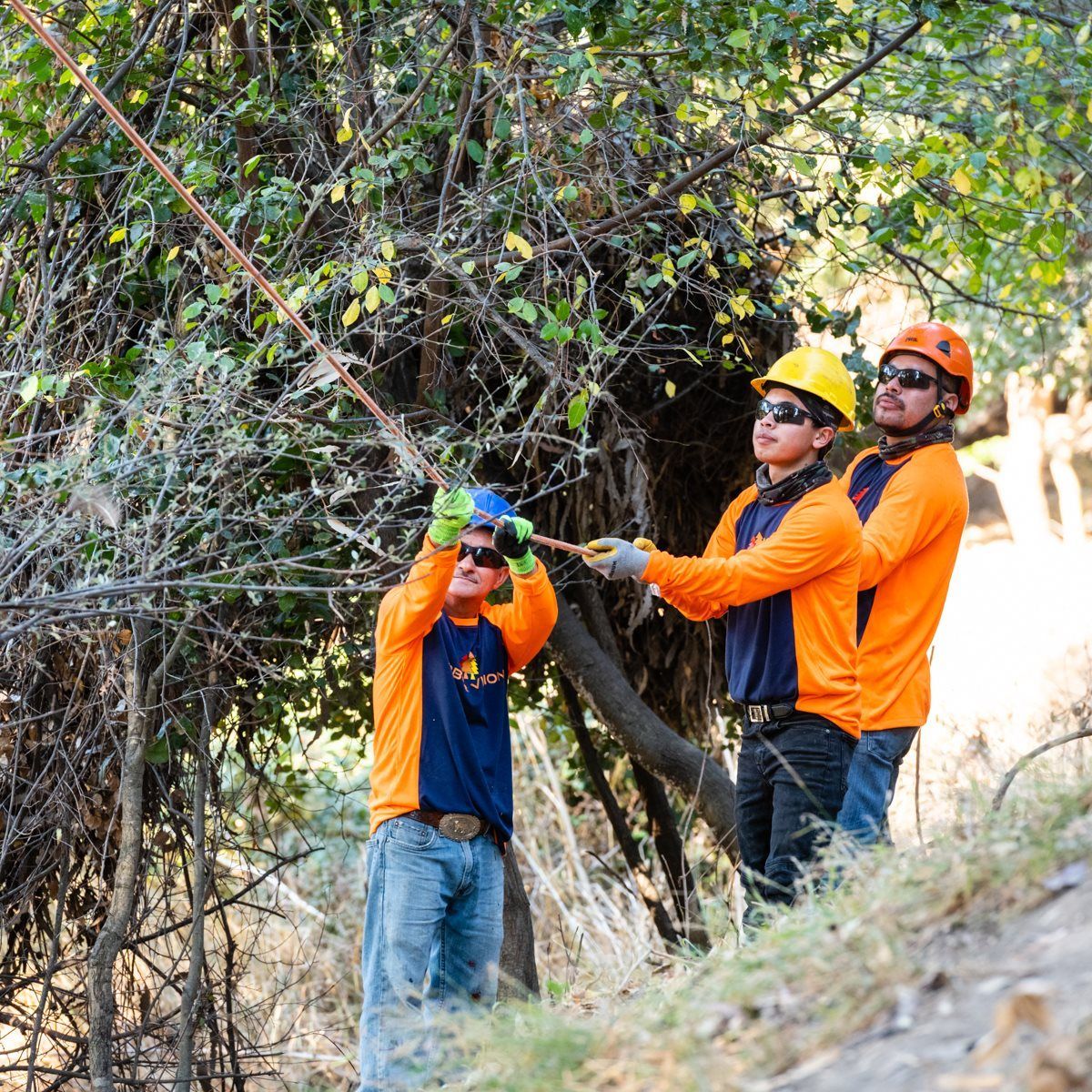 Arbor Vision team members in front of professional tree cutting equipment