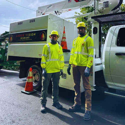 Two Arbor Vision team members in safety gear standing next to their tree care equipment.