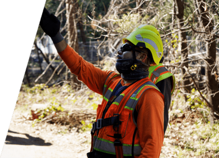 Arbor Vision team member Casimiro wearing safety gear at a tree care operation
