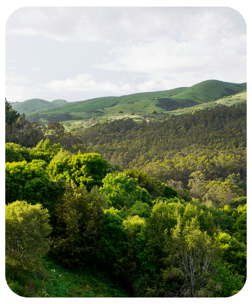 Wildcat Canyon in Tilden Regional Park Berkeley, California