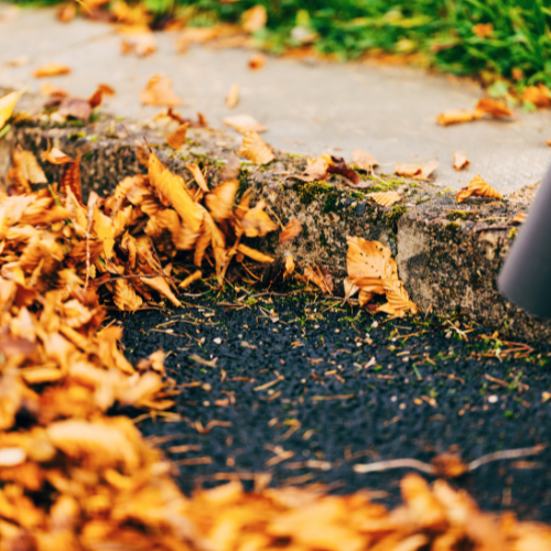 A person is blowing leaves off the sidewalk with a blower.