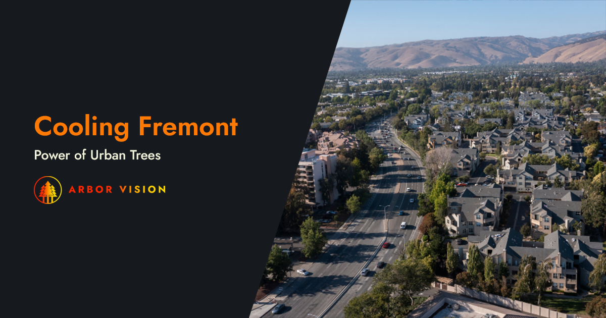 An aerial view of the city of Fremont.