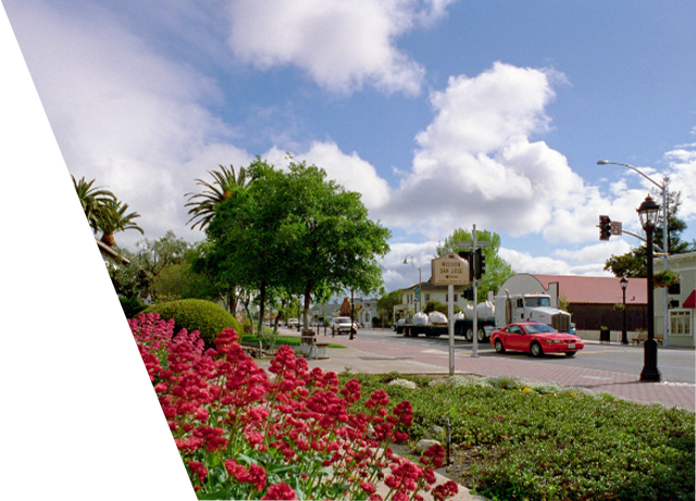 Historic street in Fremont lined with trees and vibrant red flowers.