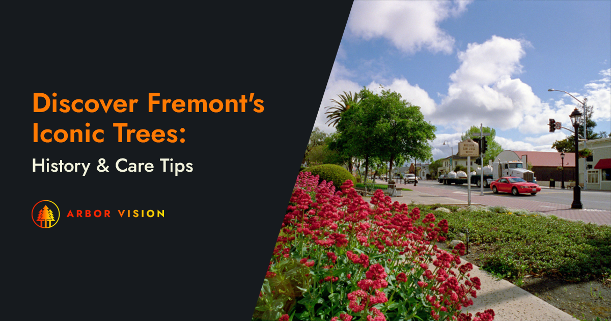 Historic street in Fremont lined with trees and vibrant red flowers.