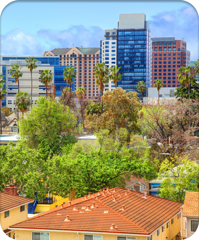 Healthy trees between houses and buildings in San Jose