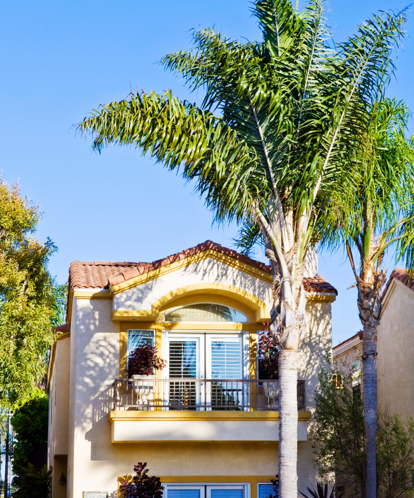 A house with a palm tree in front of it