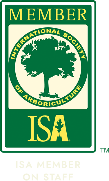 ISA Member on Staff Badge