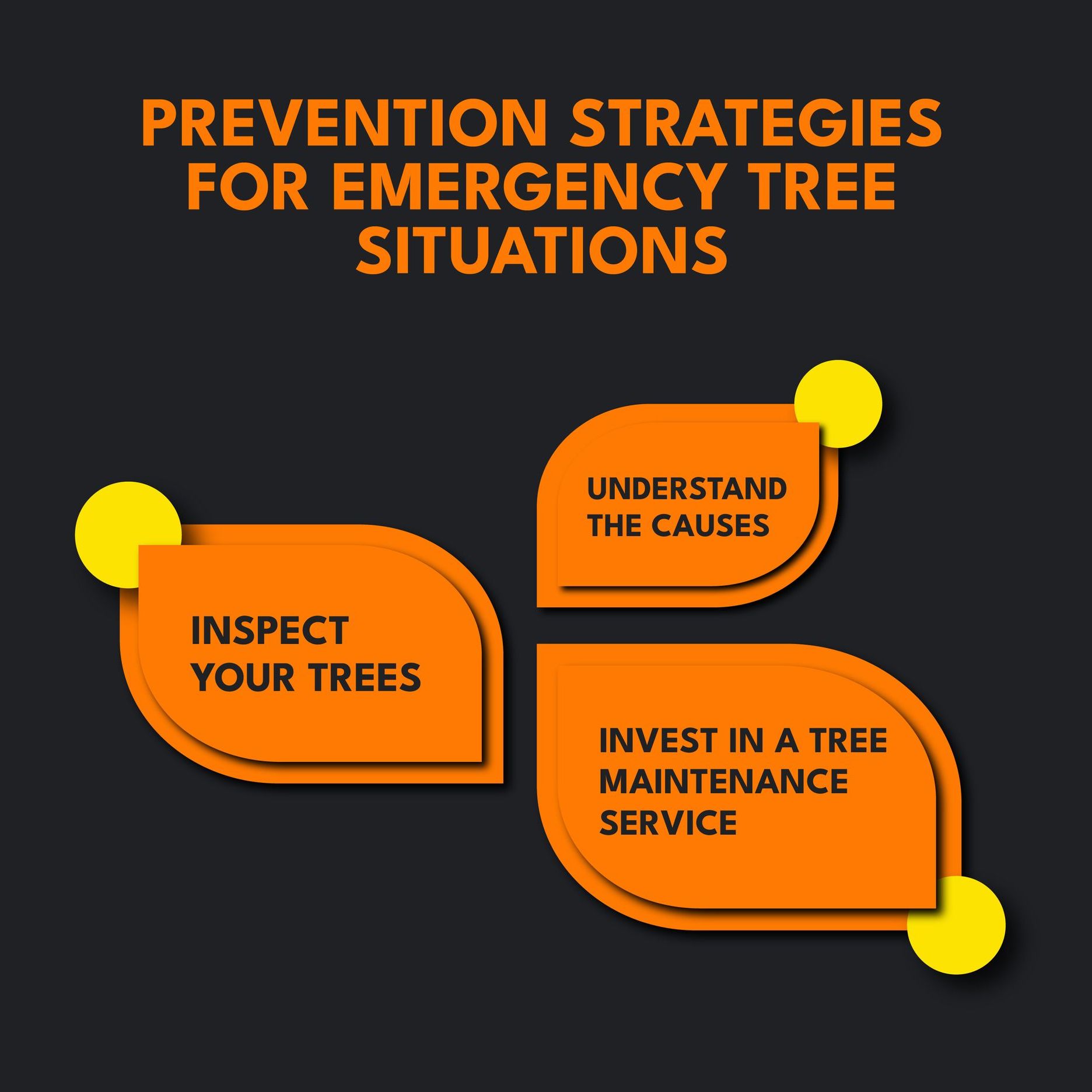 Infographic of prevention strategies for emergency tree situations.