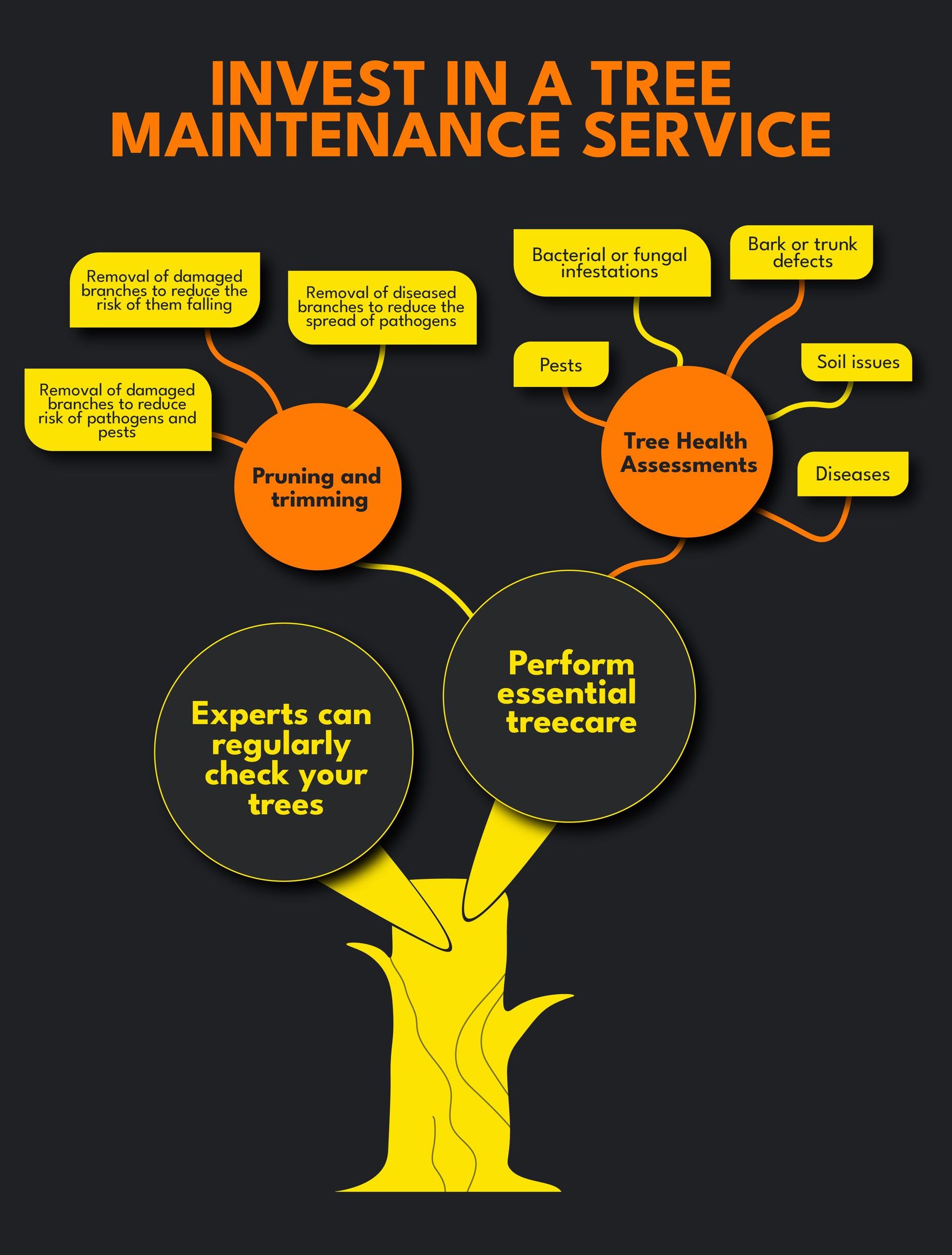 Infographic of the benefits of investing in a tree maintenance service.
