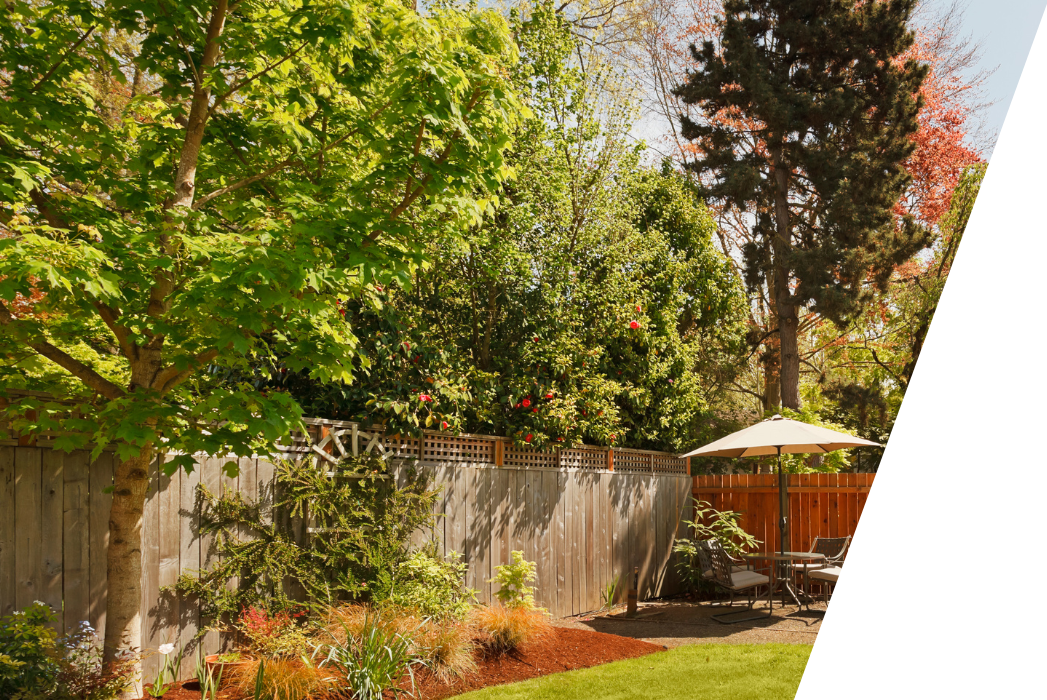 A backyard with a wooden fence , trees , and a gazebo.