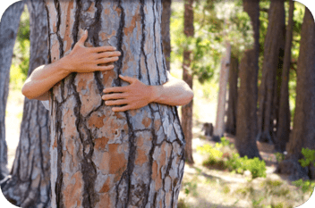 Arms wrapped around a large tree trunk