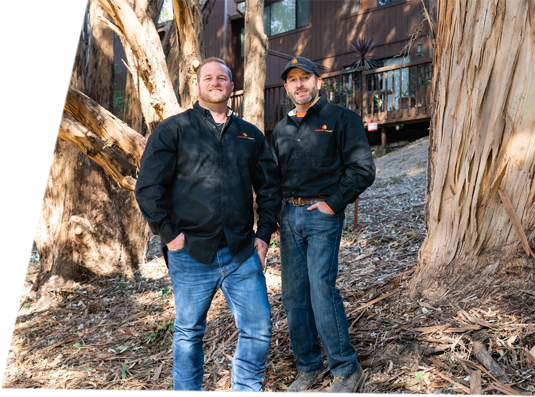 Two arborists are standing next to each other in front of a tree.