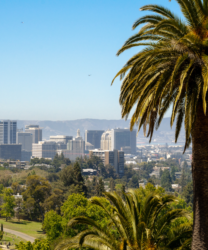 view of Oakland, ca from hilltop