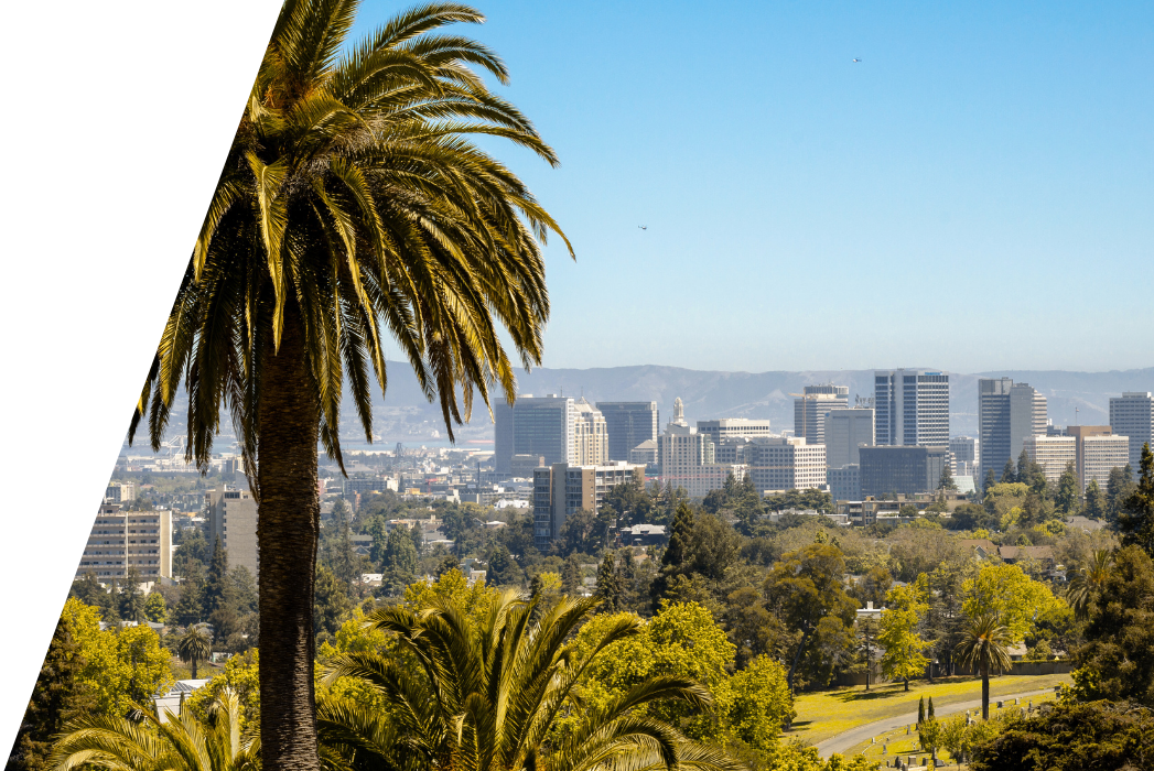 An aerial view of a city with a lot of buildings and trees in San Jose California.