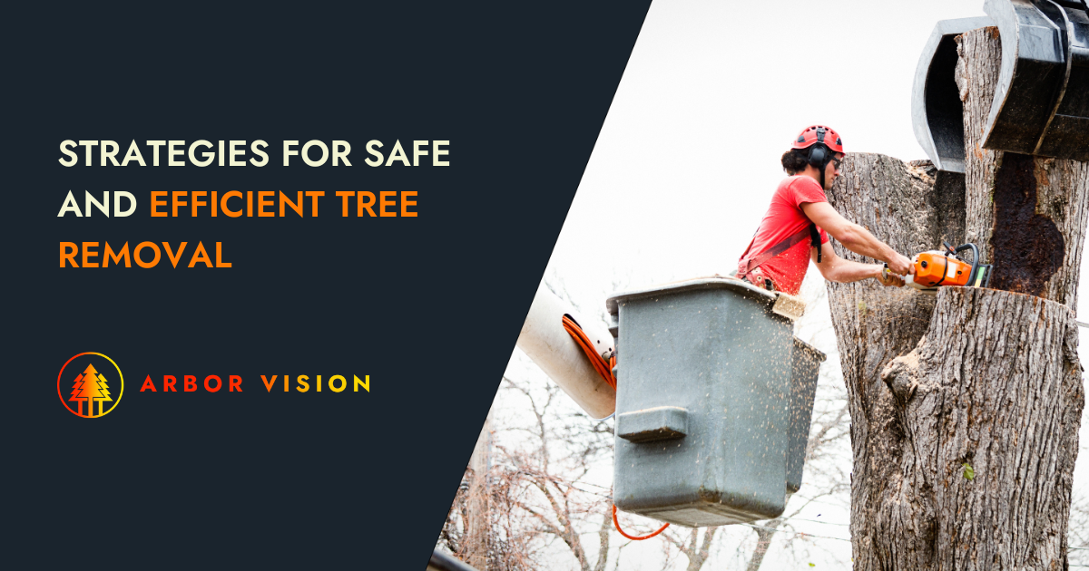 arborist expert working on removing a tree with chainsaw and heavy equipment
