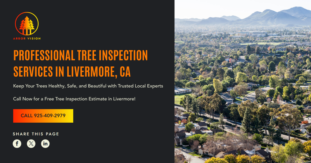 Expert Tree Inspection Near Livermore, CA | Arbor Vision