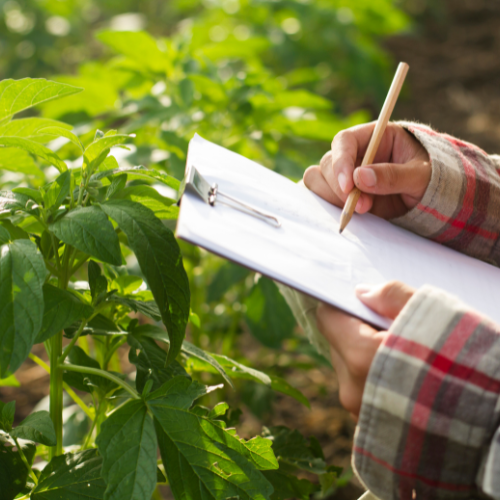 A person is writing on a clipboard in front of a plant