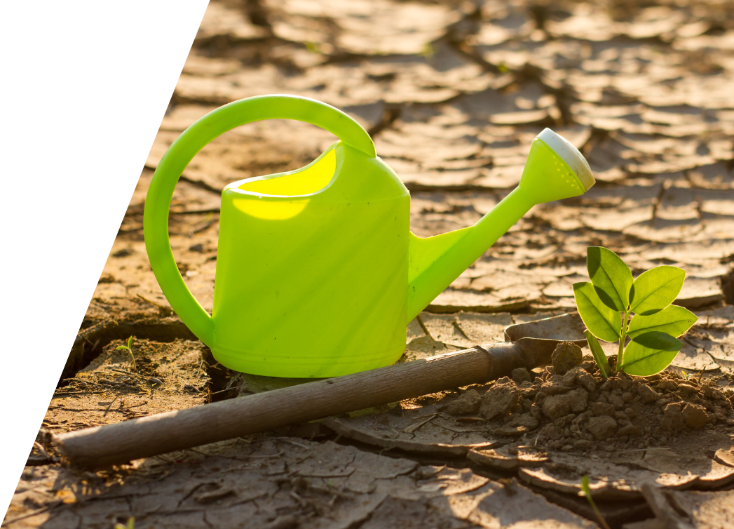 A green watering can and a shovel on a dry field.