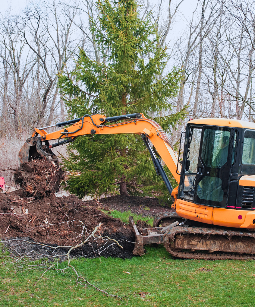 A yellow excavator removing a tree