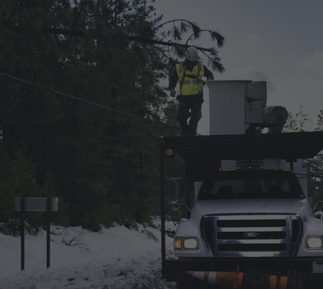 Certified arborists working on clearing branches intertwined in wires