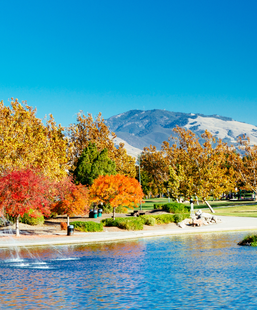 A lake in Walnut Creek, California surrounded by trees in a park with Mt. Diablo in the background.